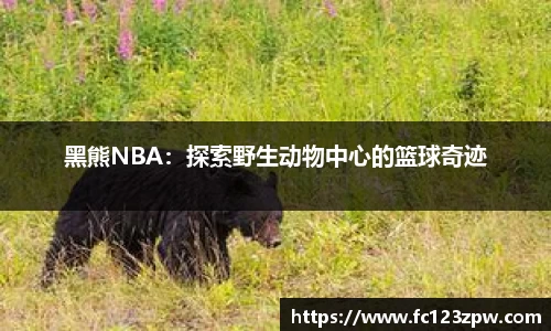 黑熊NBA：探索野生动物中心的篮球奇迹