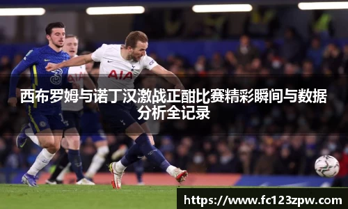 西布罗姆与诺丁汉激战正酣比赛精彩瞬间与数据分析全记录